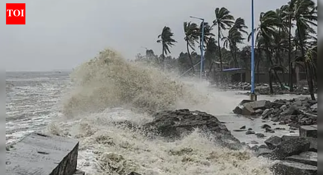Cyclone ‘Senyar’ alert: IMD sounds heavy rainfall alert for several Tamil Nadu districts, schools closed in Rameswaram; key points