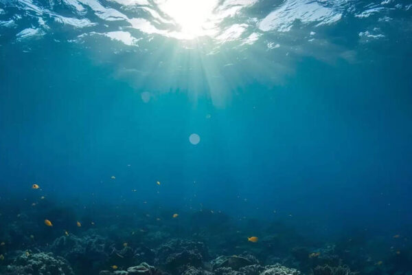 Mysterious structures under the Pacific: What scientists found beneath the ocean floor could reshape Earth’s history