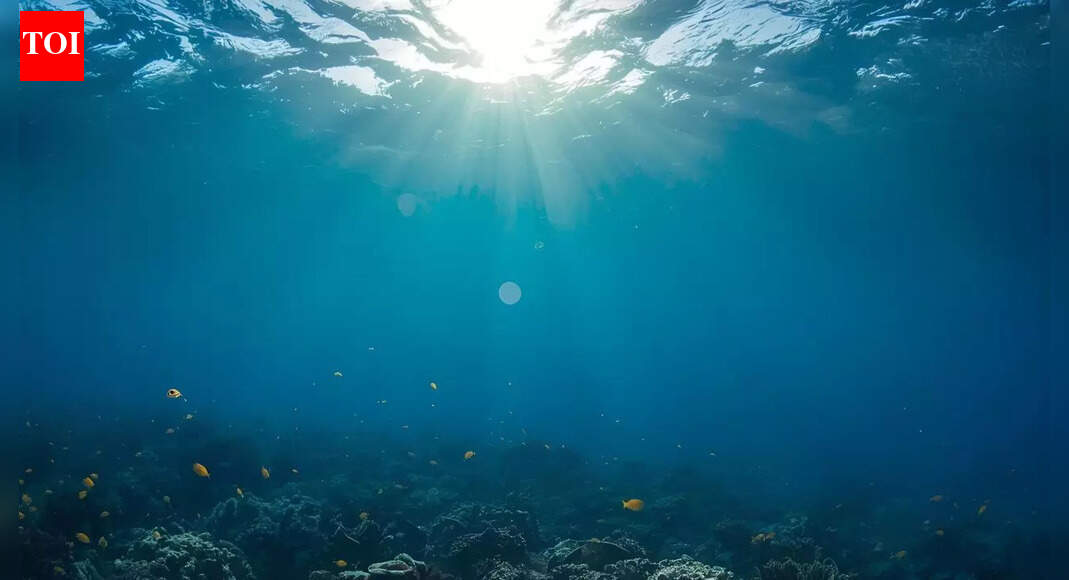 Mysterious structures under the Pacific: What scientists found beneath the ocean floor could reshape Earth’s history