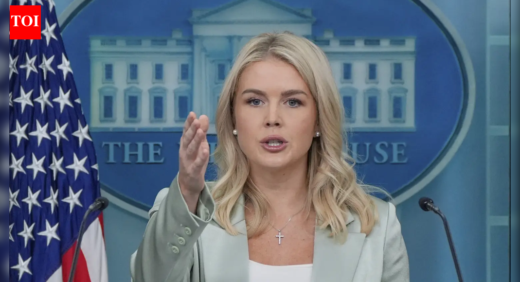 ‘Illegal alien from Brazil’: Karoline Leavitt’s relative detained by ICE; Trump admin targets visa overstays