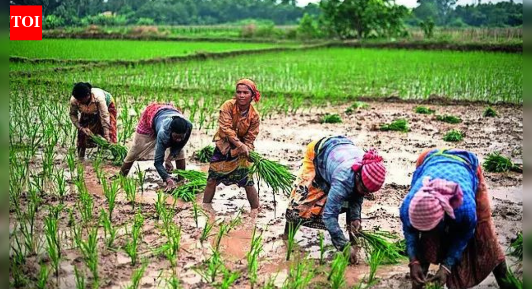 NEW DELHI: Long-term exposure to pesticides may be damaging the brains and mental health of older farmers in West Bengal, according to a major study published in the Indian Journal of Medical Research. Researchers say the findings are a wake-up call for rural India, where chemical-heavy farming is widespread, with minimal safety practices.The study was carried out by experts from the ICMR–Centre for Ageing and Mental Health, Bangur Institute of Neurosciences, Sagore Dutta Hospital and the Institute of Health & Family Welfare in Kolkata. With chemical-intensive farming still the norm, the authors cautioned that the hidden burden of neurological and mental-health disorders could escalate rapidly without urgent preventive action.The research was conducted in the Galsi II block of Purba Bardhaman district, a region that mirrors the broader demographic profile of West Bengal, where nearly 69 per cent of people live in rural areas and agriculture remains the main source of livelihood. Researchers screened 808 residents aged 50 and above who had lived in the area for at least five years. Although the sample size was limited, the authors say it offers a reliable snapshot of the burden of common neurological and neuroinflammatory conditions in rural settings.More than one in five participants—180 people—showed signs of cognitive problems, depression or possible movement disorders. Cognitive impairment included difficulties with memory, reasoning, attention and overall thinking ability. Notably, 12.5% had only cognitive impairment, a figure higher than the prevalence reported in many urban elderly studies from southern and northern India. A study on urban adults in eastern India using the same tool reported mild cognitive impairment at 14.9%, indicating that rural populations may be equally, if not more, vulnerable.Exposure mattered significantly. Those handling pesticides regularly were nearly three times more likely to develop neurological or mental-health issues. The risk climbed further among individuals exposed for over 30 years or those who sprayed pesticides at least once a week. Farmers engaged solely in agricultural work had the poorest memory scores, struggled more with daily activities and showed higher levels of depression.Medical experts say the findings align with established scientific evidence. Dr Manjari Tripathi, head of the department of neurology at AIIMS, said pesticides have long been implicated in neurodegenerative conditions such as Parkinson’s disease, Alzheimer’s dementia and related disorders. “Both the magnitude and duration of exposure are critical determinants of risk, she said. Researchers warn that without immediate policy attention, India’s rural elderly may face a rising burden of memory loss, depression and disability linked directly to decades of unchecked pesticide use.About the AuthorAnuja JaiswalAnuja Jaiswal is a Senior Assistant Editor at The Times of India, with an impressive 18-year career in narrative journalism. She specializes in health and heritage reporting, expertly simplifying complex health information to make it engaging and understandable for readers. Her deep dives into heritage topics are well-researched, resulting in captivating narratives that resonate with her audience. Over the years, she has worked in Chandigarh, Chhattisgarh and West UP, gaining diverse on-ground experience that shapes her storytelling.Read MoreEnd of ArticleFollow Us On Social MediaVideosH-1B Controversy Erupts After US Economist Alleges Industrial-Scale Fraud Targeting Indian VisasPM Modi Pens Powerful Letter On Duties And Democracy, Reflects On His Constitutional JourneyPM Modi Opens India’s First Global Engine MRO Facility As Safran Launches Advanced LEAP Centre’Islamophobia’: Pak Meltdown Over Ayodhya Event Despite Its Own Poor Record of Minority PersecutionUntold Bravery in Operation Sindoor: CISF Reveals It Foiled Pakistan Attack on Uri Hydro Power PlantExperts Analyse India-China Diplomatic Row After Shanghai Airport Incident’Arunachal Inalienable Part Of India’: MEA Rejects China’s Claim After Woman Detained In ShanghaiKejriwal, Mann Pay Homage to Ninth Sikh Guru on 350th Martyrdom DayYogi Adityanath Uncovers The Dark Truth Of Mughal’S Tyranny On Shaheedi DiwasIndia Entering ‘Golden Era’ Of Defence Innovation And Self-Reliance: Rajnath Singh123Photostories9 animals whose names start with the letter ‘G’5 pieces of diamond jewellery every bride must ownDelhi’s mega underground metro push: Will deeper tunnels finally ease the city’s congestion?How to make kids love the food they hate to eat“Mom, something happened…”: School conversations that need your immediate attentionIndia Remembers: 17 Years Since Mumbai 26/11 Terror Attacks8 animals that eat their own poopThe hidden reason your gifted child seems unmotivated7 visa-free (or Visa-on-Arrival) nations Indians can explore this winterSushmita Sen to Shweta Tiwari: Celebrities who have been an inspiration as single mothers123Hot PicksDelhi AQI TodayNew Labour CodeCyclone SenyarGold rate todaySilver rate todayPublic Holidays NovemberBank Holidays NovemberTop TrendingJill Roord and Pien SandersAyesha CurryVirat Kohli BrotherKarnataka Road CrashStefon DiggsMLB Trade RumorsKayla NicoleJordon HudsonShophie CunninghamJaiquawn Jay