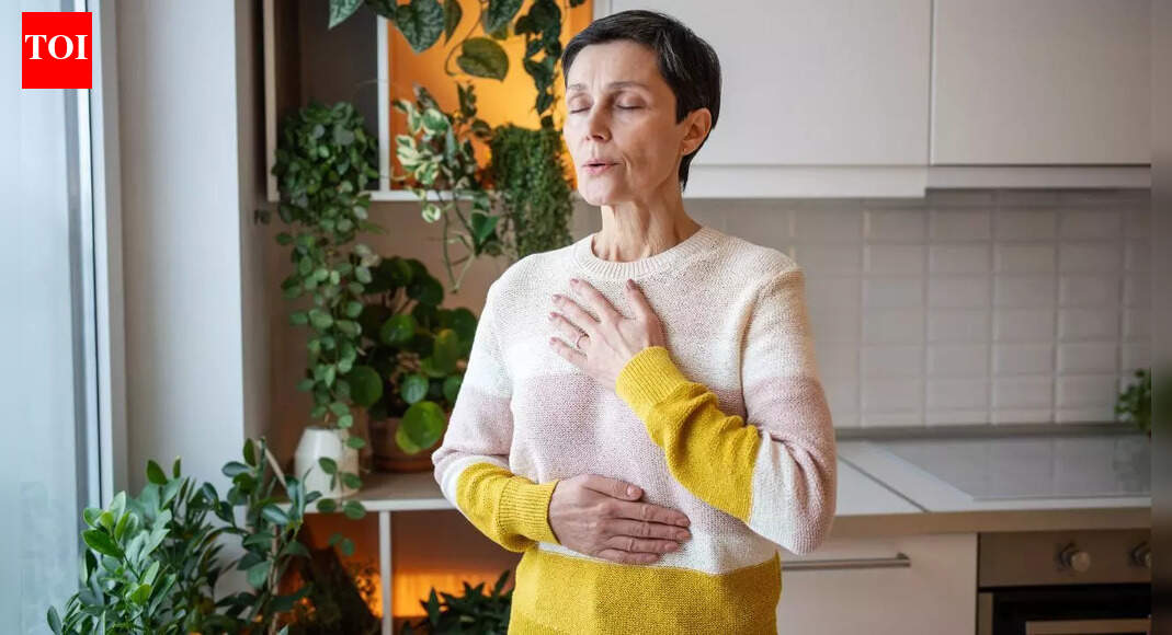 How to reduce dust at home without an air purifier: Practical ways to keep your space clean |