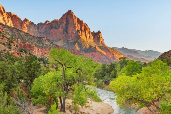‘Charge H-1B, F-1 visa holders’: Row erupts as Interior Department reforms national park fees; US residents to pay , non-residents 0