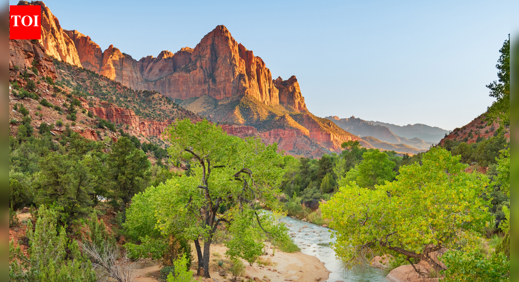 ‘Charge H-1B, F-1 visa holders’: Row erupts as Interior Department reforms national park fees; US residents to pay , non-residents 0