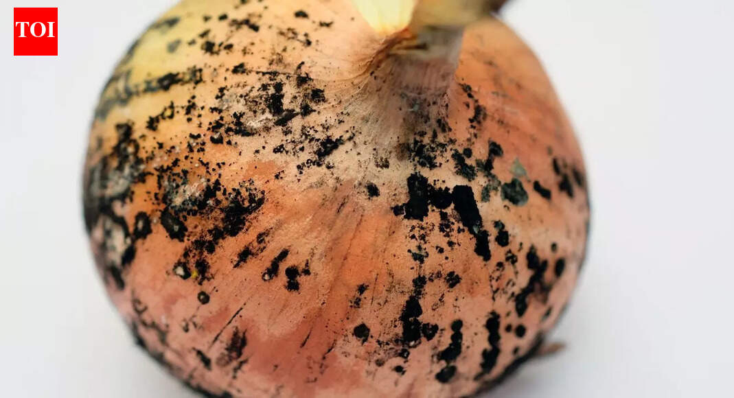 Is it safe to consume onions with black marks on them? Understanding health risks and ideal storage |