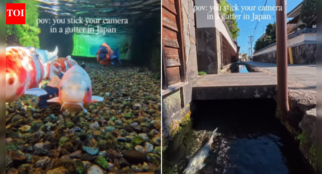 Watch: Camera dipped into Japanese drain stuns viewers — netizens joke ‘phir Nobita kis gutter mein girta tha?’