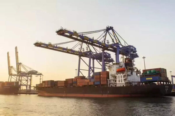 Kandla becomes fastest major port in India to reach 100 million tons in FY 26; posts strong YoY growth