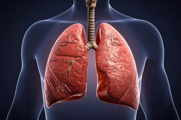 Why your lungs might be older than the rest of your body: Understanding factors, signs and detection |