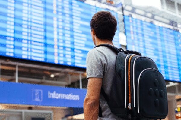 What happens when SEVIS auto-terminates a record? Steps to take in 48 hours for international students