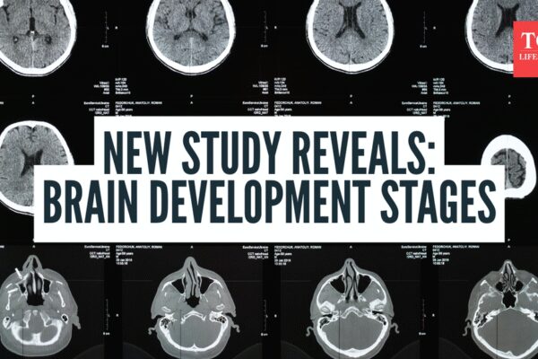 5 distinct “eras” of brain development and major one happens at this age