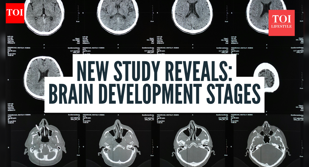 5 distinct “eras” of brain development and major one happens at this age
