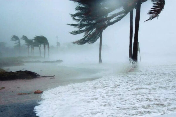 Cyclone Ditwah may hit Tamil Nadu in 2 days; IMD upgrades alerts to red