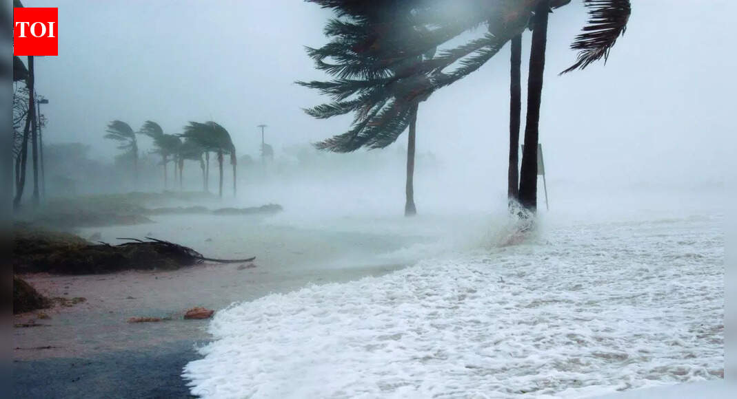 Cyclone Ditwah may hit Tamil Nadu in 2 days; IMD upgrades alerts to red