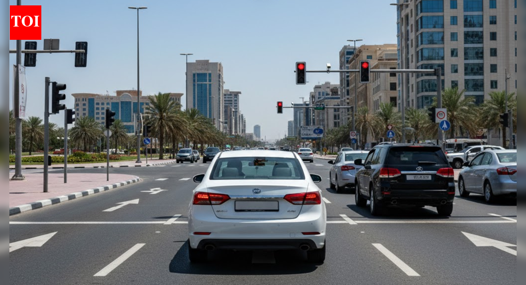 Sharjah police announce traffic point waiver and fine discounts for UAE’s 54th National Day | World News