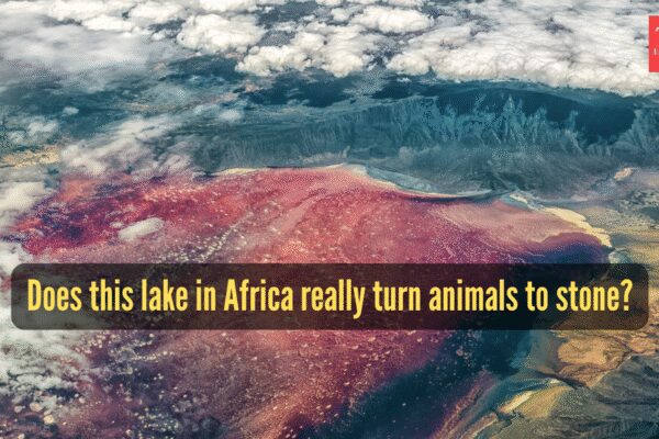 Does this lake in Africa really turn animals to stone, and how safe is it really? |
