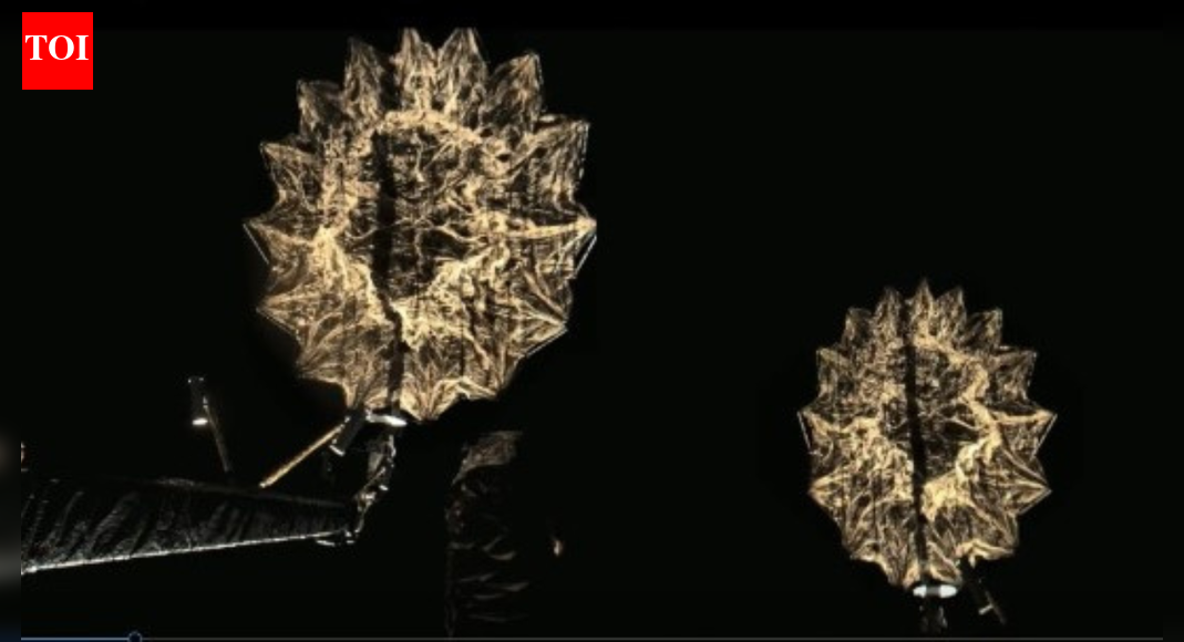 India and the US have achieved a significant milestone with the NISAR mission, successfully deploying its 12-meter antenna and completing early calibration. ISRO has now released the first S-band radar images, showcasing the satellite’s capability in observing Earth’s diverse landscapes, marking the commencement of its science phase.  BENGALURU: India and the United States have cleared a major milestone in their joint Earth-observation effort, with the Nasa-Isro Synthetic Aperture Radar (Nisar) mission completing antenna deployment, early calibration, and the full commissioning run. The mission has now moved into its science phase, with Isro releasing the first set of S-band radar images on Friday, the 100th day of the satellite in orbit.After the successful launch of Nasa-Isro Synthetic Aperture Radar (Nisar) satellite onboard GSLV – F16 on July 30, the 12m diameter Antenna reflector has been successfully deployed. The 12-meter diameter antenna reflector plays a key role for both Isro’s S-Band and Nasa’s L-Band Synthetic Aperture Radar (SAR) payload. The antenna was launched in a stowed condition on a 9m long boom, which was tucked to the satellite. The antenna and the 9m boom was developed by Nasa.The unfolding of the joints of the boom commenced on Aug 9, and was carried out over a period of five days (Wrist, Shoulder, Elbow and Root deployments). The reflector assembly mounted on the end of the boom was deployed successfully on Aug 15 and the performance of the antenna systems are satisfactory.The entire operations were carried out from the Isro Telemetry Tracking and Command Network (Istrac) with the support of Nasa’s Jet Propulsion Laboratory (JPL).Commissioning Phase“Since the first acquisition on Aug 19, Nisar S-Band SAR is regularly imaging over Indian landmass and global calibration-validation sites in various payload operating configurations. Reference targets such as Corner reflectors were deployed around Ahmedabad, Gujarat and a few more locations in India for calibration of the images,” Isro said. Data acquired over Amazon rainforests were also used for calibration of spacecraft pointing and images. Based on this, payload data acquisition parameters were fine-tuned resulting in high quality images. Initial analysis by scientists and engineers revealed the potential of S-Band SAR data for various targeted science and application areas like agriculture, forestry, geo-sciences, hydrology, Polar/Himalayan ice/snow and oceanic studies. “The first image of S-band SAR acquired on Aug 19 captures the fertile Godavari River Delta in Andhra Pradesh, India. Various vegetation classes like mangroves, agriculture, arecanut plantations, aquaculture fields, etc are clearly seen in the image. The image highlights Nisar’s S-Band SAR ability to map river deltas and agricultural landscapes with precision,” Isro said.“On the 100th day of Nisar in-orbit, the S-SAR images are released to the public… the science phase has now commenced,” Isro added.About the AuthorChethan KumarChethan Kumar is a Senior Assistant Editor with the Times of India. Aside from specialising in Space & Science, he has reported extensively on varied topics, with special focus on defence, policy and data stories. He has covered multiple elections, too. As a young democracy grows out of adolescence, Chethan feels, there are reels of tales emerging which need to be captured. To do this, he alternates between the mundane goings-on of the Common Man and the wonder-filled worlds of scientists and scamsters, politicians and soldiers. In a career spanning nearly 18 years, he has reported from multiple datelines — Houston, Florida, Kochi, Hyderabad, Chennai, Sriharikota (AP), NH-1 (J&K Highway), New Delhi, Ahmedabad, Raichur, Bhatkal, Mysuru, Chamarajanagar, to name a few —  but is based out of Bengaluru, India’s science capital that also hosts the ISRO HQ.Read MoreEnd of ArticleFollow Us On Social MediaVideos’They Are Ours, We’ll Prove It’: Pakistani Leader’s Absurd Claim On ‘Gujarat, Haryana, Rajasthan’Cyclone Ditwah Intensifies, Monsoon Fury Slams Sri Lanka With At Least 56 Dead And Dozens MissingViral Video: Stage Crashes During UP Wedding As BJP Leaders Gather To Greet Bride & GroomIndia-Russia Summit Dates Out As PM Modi, Putin Review S-400, Su-57 And Global Security ChallengesGoldy Dhillon Gang Member Arrested In Delhi For Kapil Sharma’s Kap’s Cafe Shootings Across CanadaIndia Sends A Strong Warning: Rajnath Singh Says Sovereignty And Security Will Never Be NegotiableCongress, BJP Face Off Over Kumar Ketkar’s Controversial Remark CIA, Mossad Helped Modi Win in 2014Tejas Is The Safest, Says HAL Chief, Rejecting All Concerns After Dramatic Dubai Air Show AccidentPakistan Army General Warns Of Hybrid-To-Full War As Pakistan Reshapes Military Power Under MunirPakistan Erupts As Imran Khan’s Son Claims ‘No Proof Of Life’ Amid CM Afridi’s Jail-Side Protest123Photostories5 places where the sun never sets (or never rises): How travellers experience it2025 Bollywood celebs baby name reveal posts: Sidharth Malhotra – Kiara Advani’s daughter Saraayah to Parineeti Chopra – Raghav Chadha’s son NeerSarayna Ponvannan, Samyuktha Shanmuganathan, Amala Paul: South actresses who found true love the second timeHow to grow Guava in a pot on your balconyEating sweet potatoes regularly? 7 health benefits of sweet potatoes on your blood sugarSaturday Remedies: 5 Powerful Remedies To Appease Shani Dev10 phrases that can affect a child’s mood and mental health‘Tere Ishq Mei’ promotions: Turn up the sass this shaadi season with Kriti Sanon’s ‘Mukti’-inspired traditional looksKonkona Sen Sharma radiates timeless grace and powerful screen presenceBest fruit for liver health? This everyday fruit on an empty stomach can work wonders123Hot PicksDelhi AQI TodayNew Labour CodeWorld NewsGold rate todaySilver rate todayPublic Holidays NovemberBank Holidays NovemberTop TrendingJayden Daniels InjuryCyclone Ditwah ImpactBengaluru techieFortnite Chapter 7 LeakedAyesha CurryFuzzy ZoellerDelhi Car Blast10 Greatest Thanksgiving Moments in NFL historyGabrielle UnionVanessa Bryant