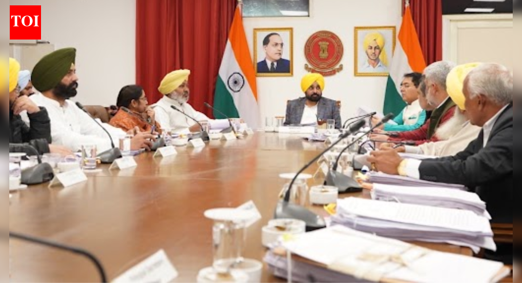 Punjab Cabinet approved empanelment of 300 doctors across 12 specialties to boost healthcare. This move aims to enhance specialist availability and improve secondary healthcare quality in government facilities.  Specialists will receive fees per patient, with incentives for night duties.  A proposal for border area incentives for government doctors and teachers is also underway.  CHANDIGARH: The Punjab Cabinet on Friday gave nod to empanel 300 doctors, specialised in 12 key domains, to improve healthcare services across the state. According to an official statement issued here following the meeting chaired by Chief Minister Bhagwant Mann, the cabinet gave nod to empanel 300 doctors across 12 key specialties, including medicine, pediatrics, psychiatry, dermatology, chest and tuberculosis, surgery, gynaecology, orthopedics, ophthalmology, ENT, and anaesthesiology, in government health facilities. This step will significantly augment specialist availability and improve the quality of secondary healthcare delivery in Punjab, it added. The empanelment of specialists will be done at district level through civil surgeons and the empanelled specialist shall be entitled to an empanelment fee per patient for various services like OPD, IPD, emergency calls, major and minor surgeries, and others. After the cabinet meeting, Finance Minister Harpal Singh Cheema said the decision will also help tide over the shortage of specialists in government facilities. The empanelled doctors will get an incentive of Rs 100 per patient for examining them in both OPD (outpatient department) and IPD (in-patient department), he said. However, a cap has been set on the number of patients these specialists can examine — between 50 and 150 in the OPD, and two to twenty in the IPD, the minister added. Cheema said if a specialist government doctor, who is on night duty, is called at day time, they will get an incentive of Rs 1,000. If the doctor is not on duty during night hours, but is called during the period, then the incentive will double. The day time duty hours will be counted from 8 am to 8 pm, he added. Cheema said officials have also been asked to prepare a proposal for a new incentive-based policy for government doctors and teachers posted in the border areas.The cabinet, meanwhile, also gave approval to Punjab Minor Minerals Rules 2013 in accordance with the Punjab State Minor Minerals (Amendment) Policy, 2025.End of ArticleFollow Us On Social MediaVideosPM Modi Joins Over 1 Lakh Devotees In Mass Bhagwat Gita Recitation At Udupi EventIndia’s Updated Quake Map Warns Entire Himalayan Arc Faces Major Risk, Forcing Urgent Safety Reforms’They Are Ours, We’ll Prove It’: Pakistani Leader’s Absurd Claim On ‘Gujarat, Haryana, Rajasthan’Cyclone Ditwah Intensifies, Monsoon Fury Slams Sri Lanka With At Least 56 Dead And Dozens MissingViral Video: Stage Crashes During UP Wedding As BJP Leaders Gather To Greet Bride & GroomIndia-Russia Summit Dates Out As PM Modi, Putin Review S-400, Su-57 And Global Security ChallengesGoldy Dhillon Gang Member Arrested In Delhi For Kapil Sharma’s Kap’s Cafe Shootings Across CanadaIndia Sends A Strong Warning: Rajnath Singh Says Sovereignty And Security Will Never Be NegotiableCongress, BJP Face Off Over Kumar Ketkar’s Controversial Remark CIA, Mossad Helped Modi Win in 2014Tejas Is The Safest, Says HAL Chief, Rejecting All Concerns After Dramatic Dubai Air Show Accident123PhotostoriesHow to make iron and protein-rich Egg and Spinach Omelette for breakfast8 modern-sounding Indian baby names starting with letter B5 places where the sun never sets (or never rises): How travellers experience it2025 Bollywood celebs baby name reveal posts: Sidharth Malhotra – Kiara Advani’s daughter Saraayah to Parineeti Chopra – Raghav Chadha’s son NeerSarayna Ponvannan, Samyuktha Shanmuganathan, Amala Paul: South actresses who found true love the second timeHow to grow Guava in a pot on your balconyEating sweet potatoes regularly? 7 health benefits of sweet potatoes on your blood sugarSaturday Remedies: 5 Powerful Remedies To Appease Shani Dev10 phrases that can affect a child’s mood and mental health‘Tere Ishq Mei’ promotions: Turn up the sass this shaadi season with Kriti Sanon’s ‘Mukti’-inspired traditional looks123Hot PicksDelhi AQI TodayNew Labour CodeWorld NewsGold rate todaySilver rate todayPublic Holidays NovemberBank Holidays NovemberTop TrendingJayden Daniels InjuryCyclone Ditwah ImpactBengaluru techieFortnite Chapter 7 LeakedAyesha CurryFuzzy ZoellerDelhi Car Blast10 Greatest Thanksgiving Moments in NFL historyGabrielle UnionVanessa Bryant