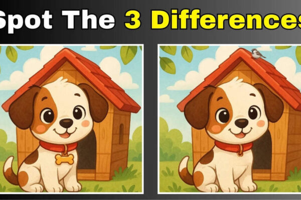 Optical illusion: Can you spot 3 differences in this dog image under 12 seconds? |