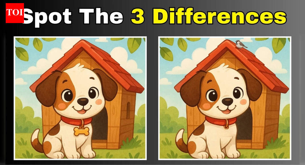 Optical illusion: Can you spot 3 differences in this dog image under 12 seconds? |