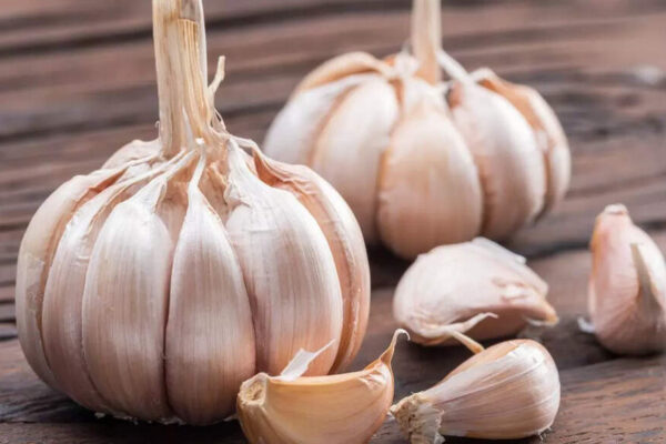 The best time to eat garlic for immunity, heart health, inflammation, and digestion: Maximise the benefits with smart timing |