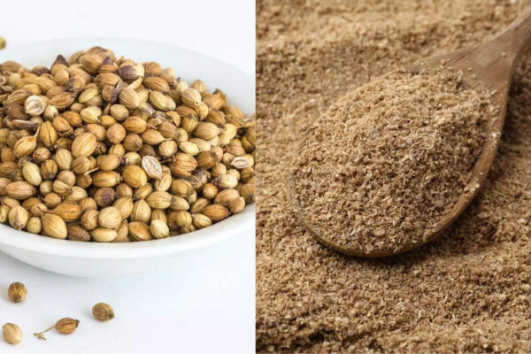 Coriander seeds vs powder: Which form boosts digestion, reduces bloating, and supports healthy cholesterol naturally |