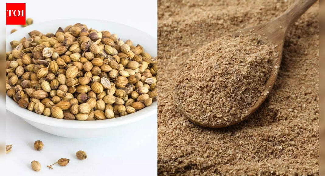 Coriander seeds vs powder: Which form boosts digestion, reduces bloating, and supports healthy cholesterol naturally |