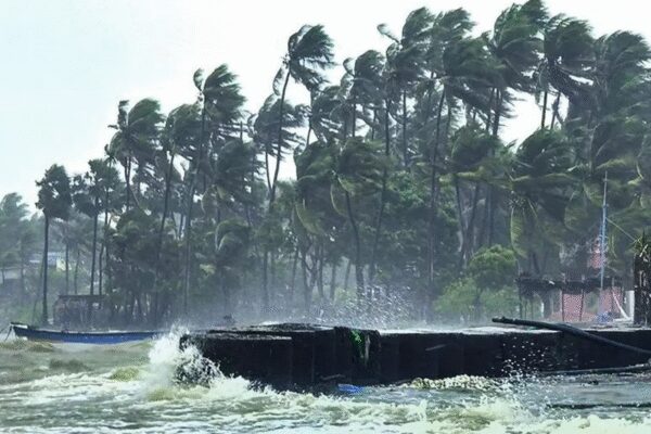 Cyclone Ditwah nears Tamil Nadu coast: India on high alert after Sri Lanka death toll tops 80; IMD issues red alert