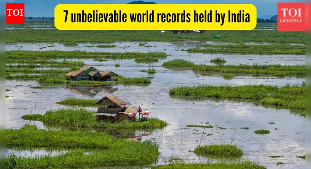 From floating park to tallest statue: Unbelievable world records held by India you probably did not know of!