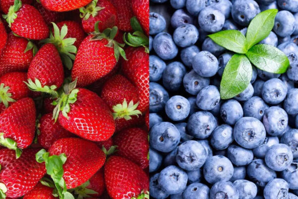 Strawberry vs blueberry: Which berry supports nutrition and overall health |