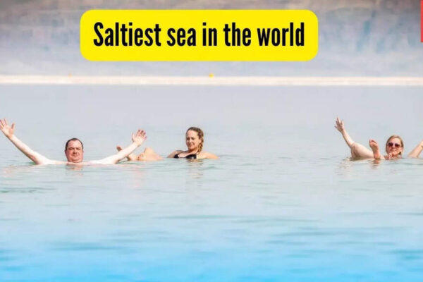 Which is the saltiest sea in the world? (and why it’s nearly impossible to drown here) |