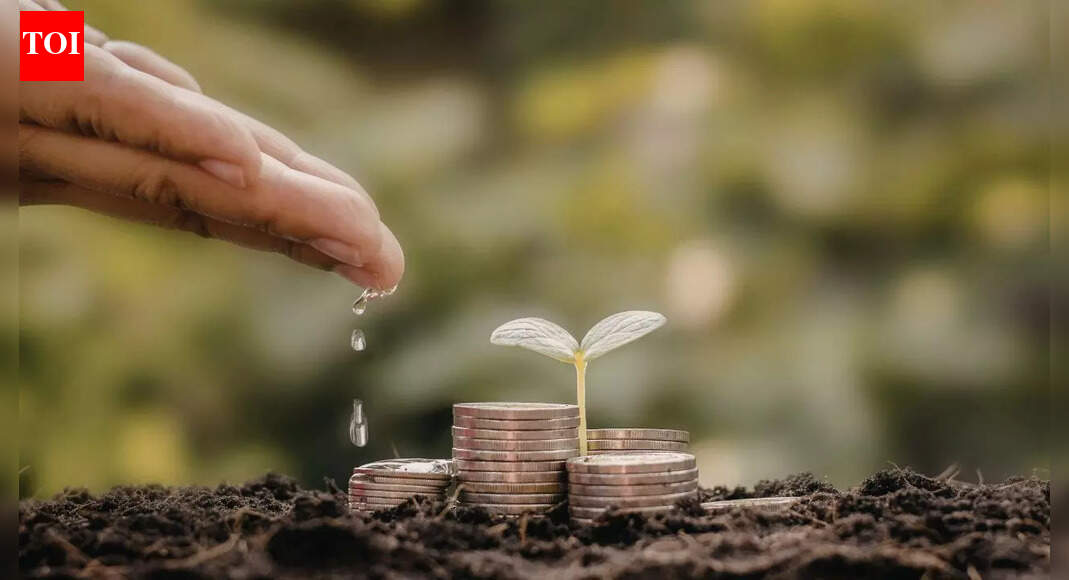 Why is your money plant turning yellow: Simple home remedies to revive it |