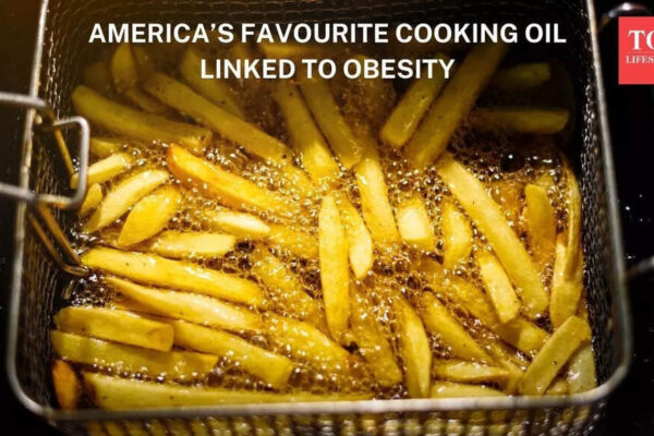 America’s favourite cooking oil linked to obesity, scientists find |