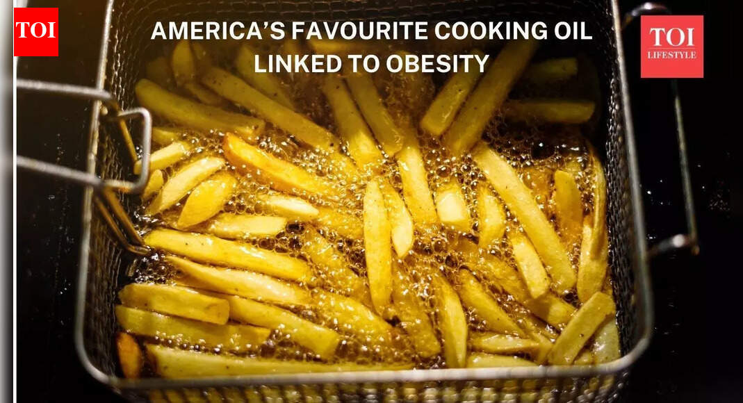 America’s favourite cooking oil linked to obesity, scientists find |