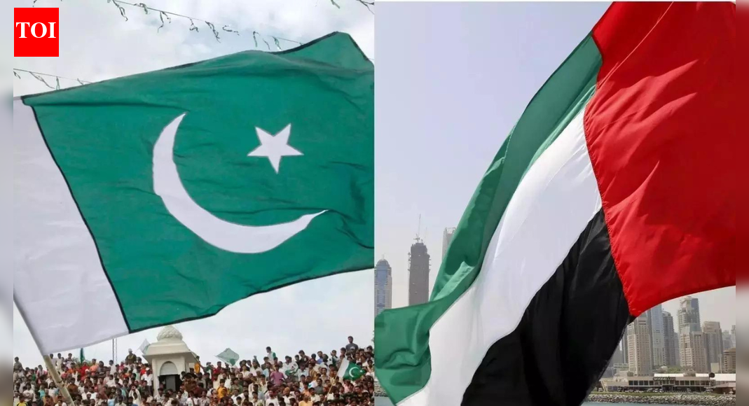 ‘Divert their flights to…’: British far-right activist reacts to UAE stopping visas for Pakistani citizens