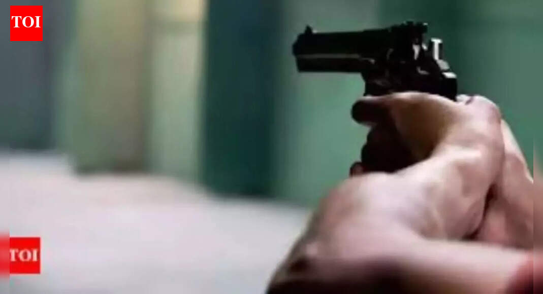 ‘Maaro goli, main vakilon se nipat loonga’: DJ operator’s father shot dead over music dispute at UP wedding