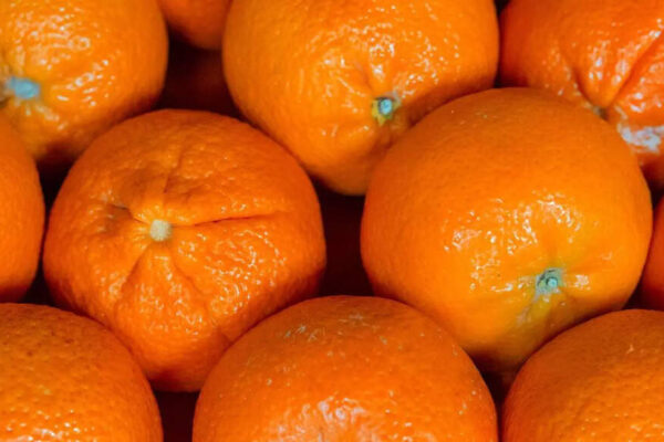 How to keep oranges fresh for longer: Simple ways to store them and stop them from drying out |