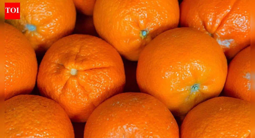 How to keep oranges fresh for longer: Simple ways to store them and stop them from drying out |