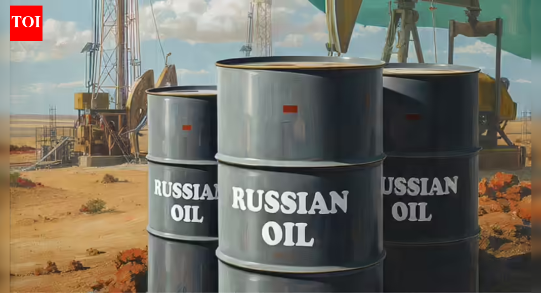 ‘Shadow fleet’: India imported 5.4 million tonnes of Russian oil, says CREA; Moscow relying on old tankers to dodge Western sanctions