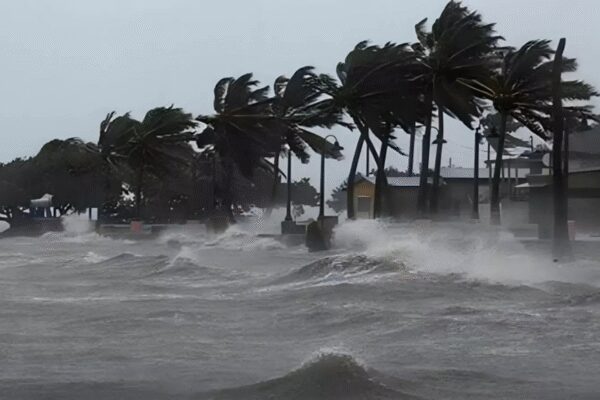 Cyclone Ditwah rampage: Tamil Nadu reports 3 deaths as storm drenches state; Sri Lanka devastated with 330+ dead