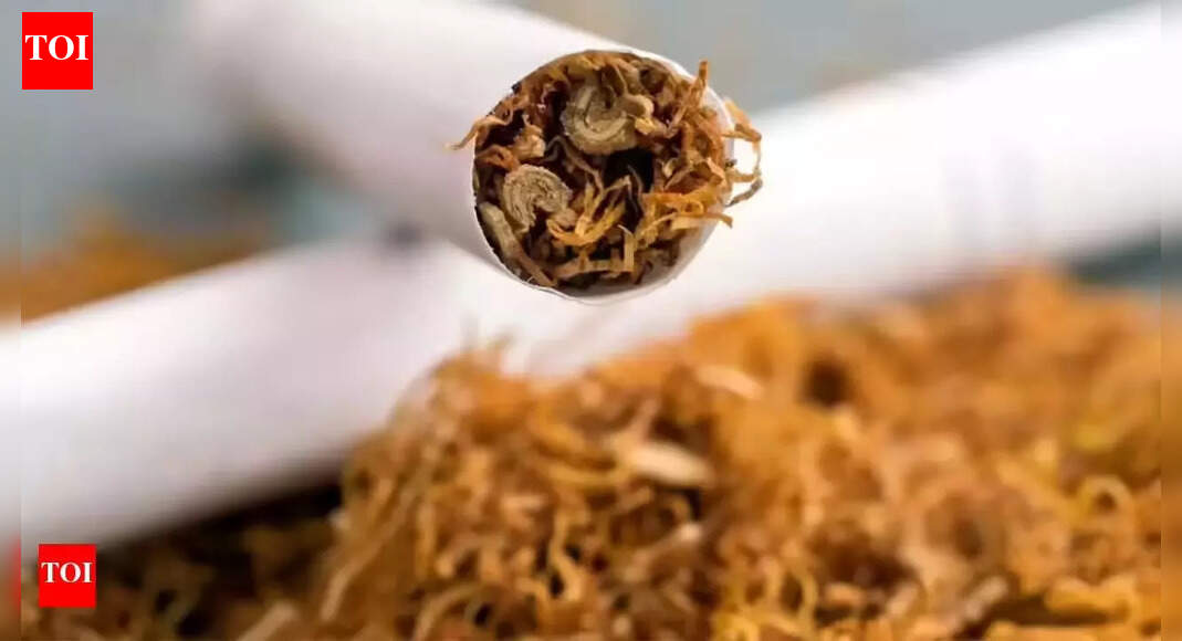 Central Excise (Amendment) Bill 2025: Govt to replace GST compensation cess on tobacco, pan masala; Here’s what you should know