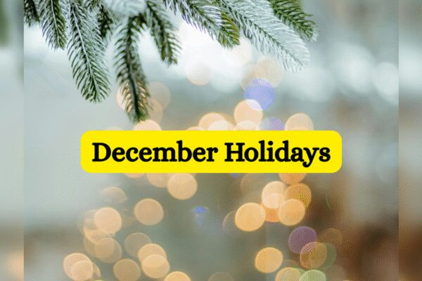 December 2025 school holidays: Winter vacation, Christmas and more; check list here
