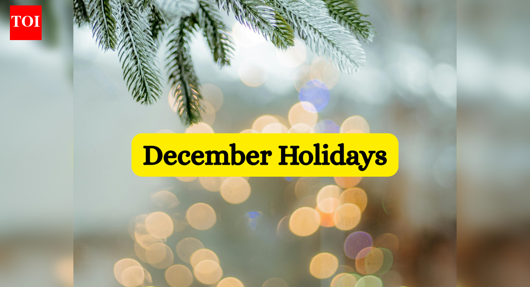 December 2025 school holidays: Winter vacation, Christmas and more; check list here