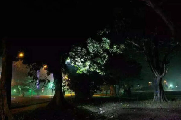 Kolkata: Woman ‘assaulted, molested’ inside moving car for nearly an hour; found drugged, abandoned in Maidan