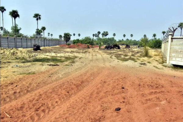 NGT extends deadline for environment ministry reply on plea against Puri airport