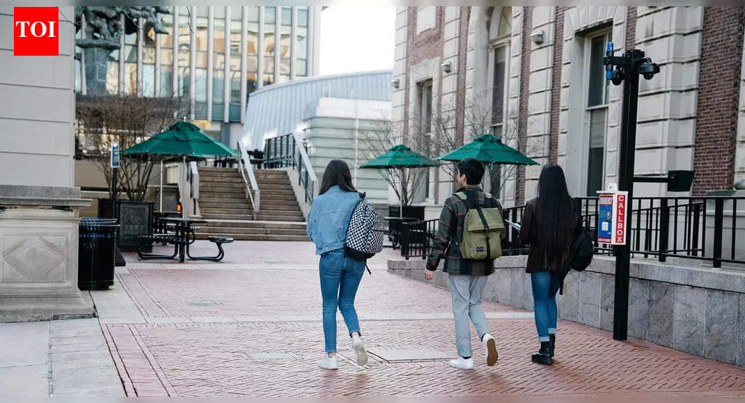 Income-driven IDR plans like IBR and RAP could reduce US student loan payments: Here’s what to know