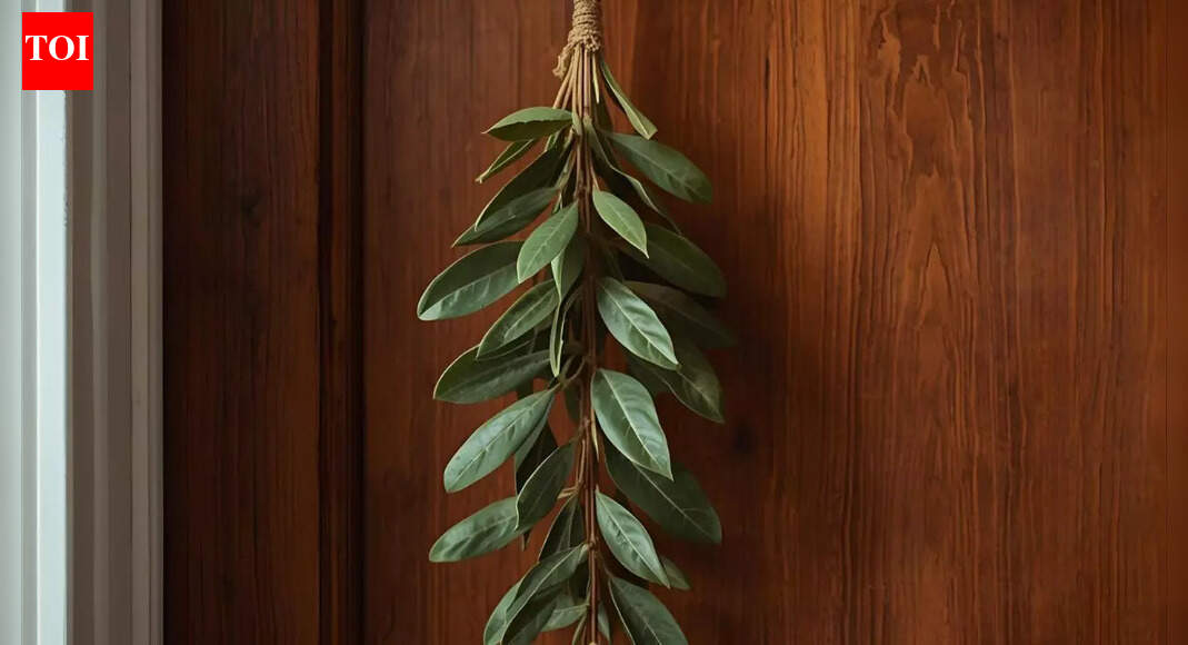Hang THIS simple kitchen herb on your door and watch your nighttime stress disappear |
