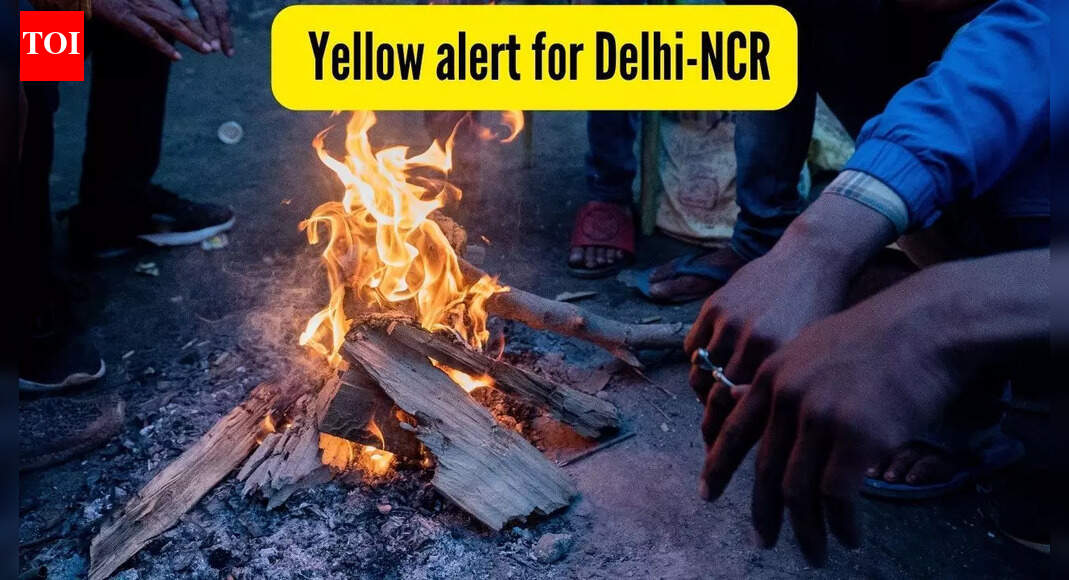 Delhi winters travel update: IMD issues a yellow alert from Dec 2 to 5; be prepared for cold wave, fog and more |