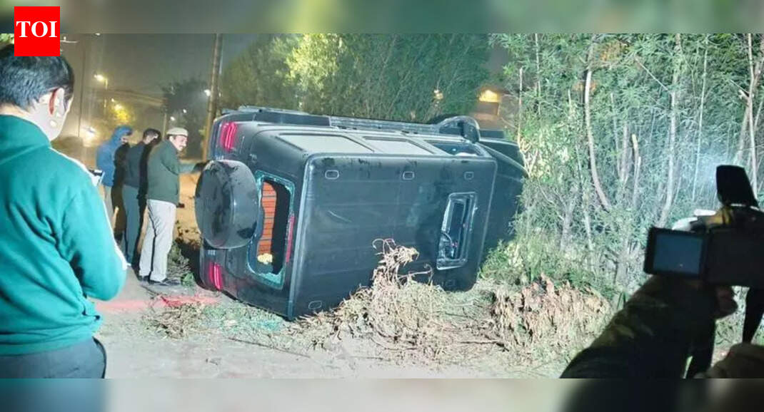 Man at wheel of Merc that killed chef and injured two others in south Delhi gets bail