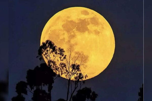 Last Full Moon of 2025 in Taurus: How to use the Cold Moon energy to end the year on a high