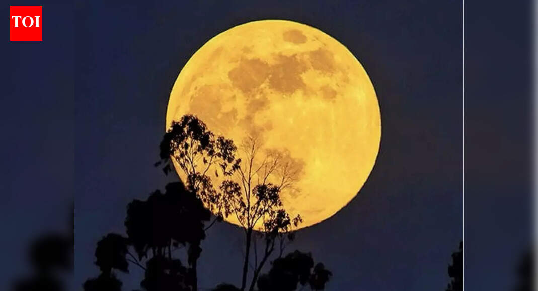 Last Full Moon of 2025 in Taurus: How to use the Cold Moon energy to end the year on a high